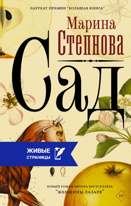 Сад